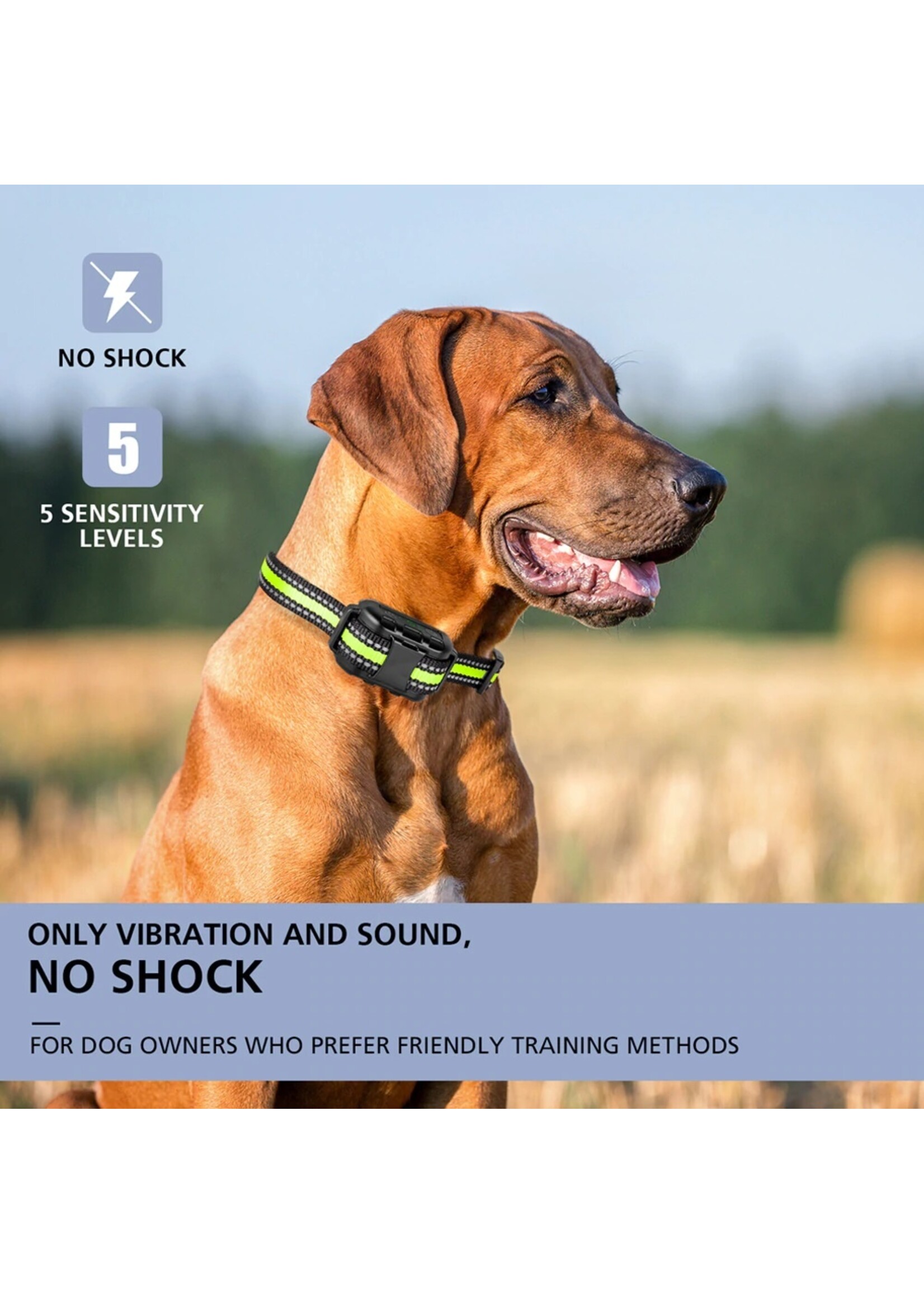 Anti-Blafband – Oplaadbare – Pieptoon - Trillingen Hond Geen blaftrainingshalsband voor kleine middelgrote grote honden