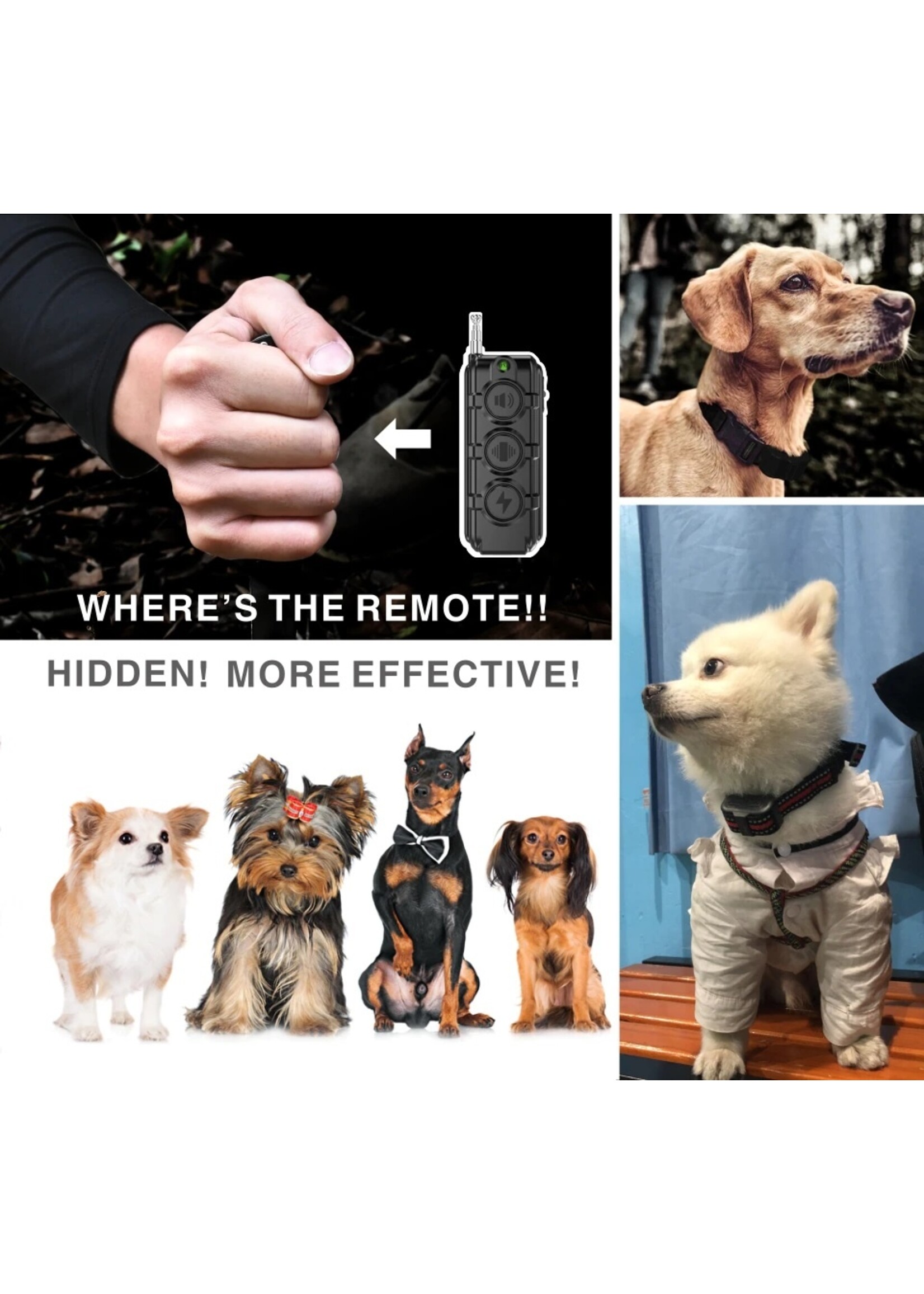 Trainingshalsband Hond Elektrische Halsband - Kleine Hond Opleiding Halsband – Oplaadbaar – Waterdichte - Afstandsbediening 250 M
