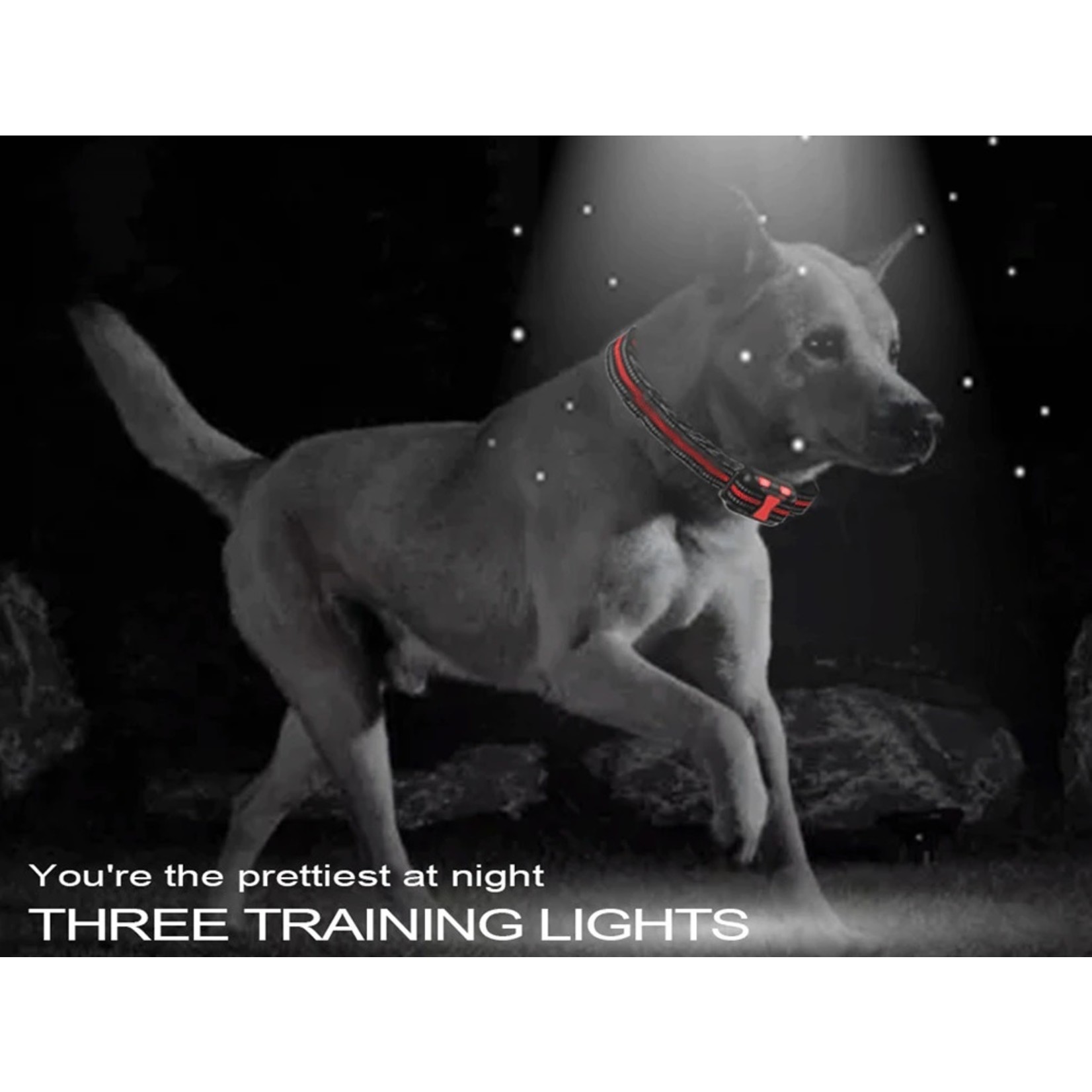 Trainingshalsband - 300M Hondentrainingshalsband -  Waterdichte USB Oplaadbare bediening