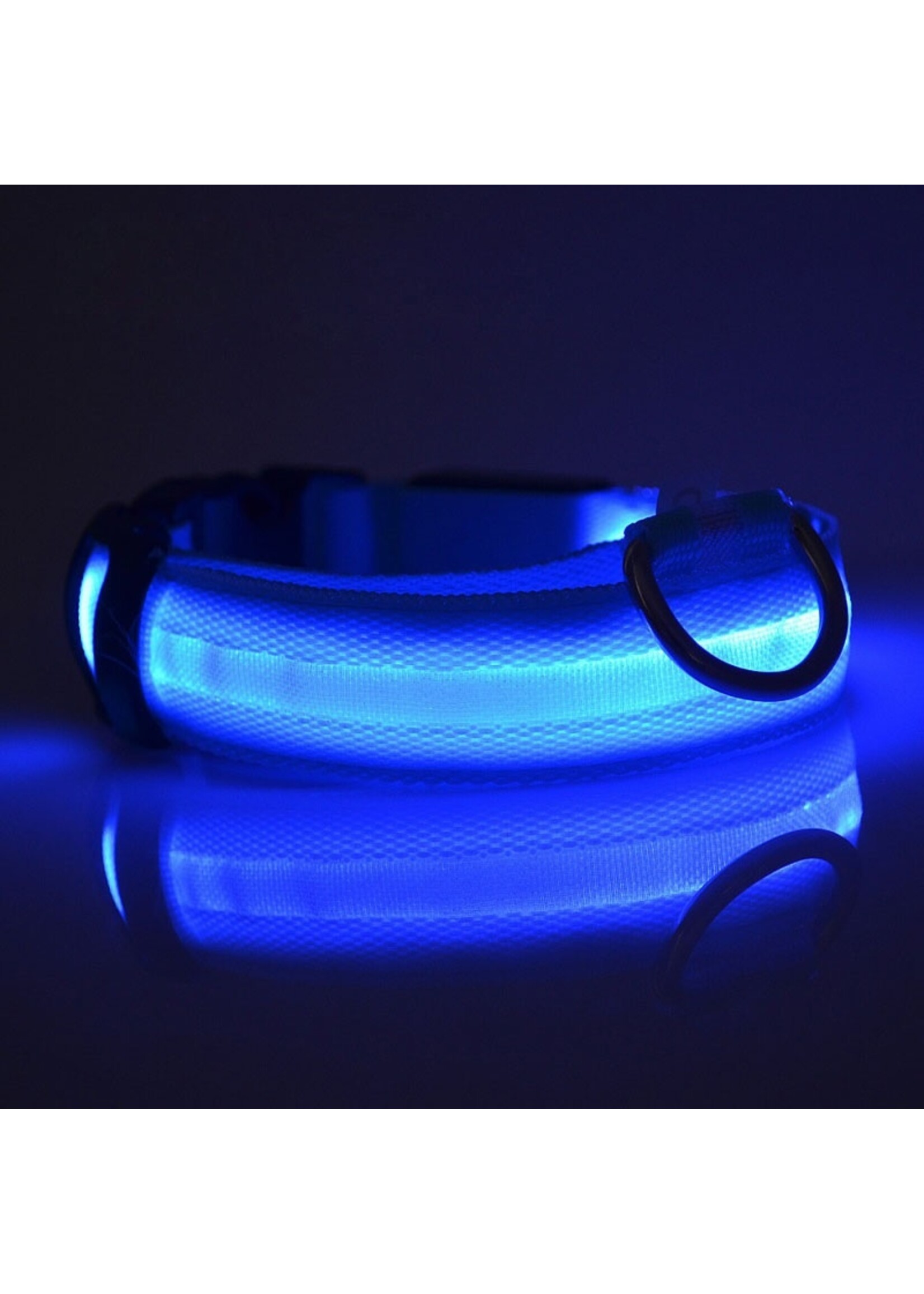 LED HALSBAND- STANDAARD BLAUW – Halsband voor uw hond – Halsband met verlichting