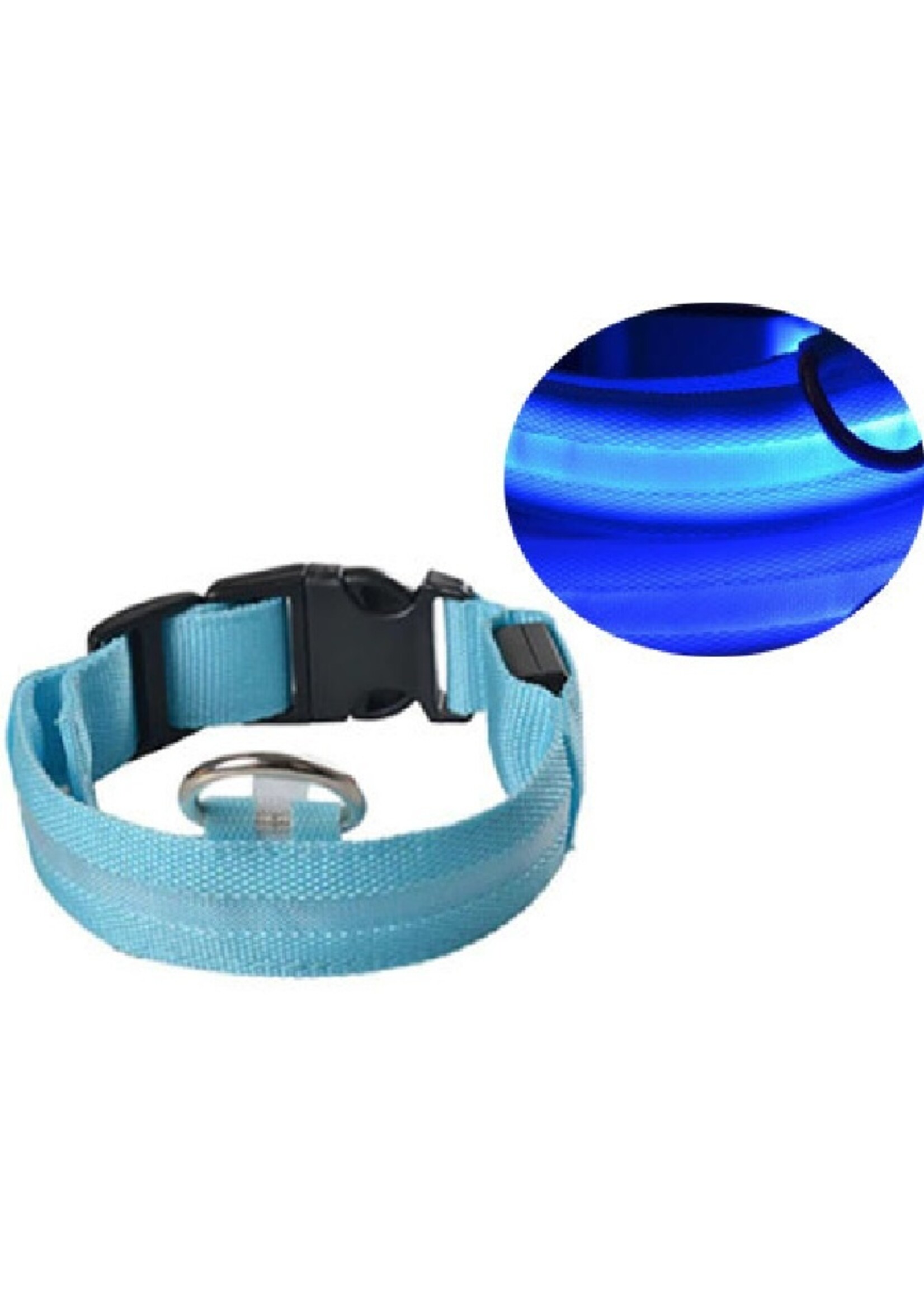 LED HALSBAND- STANDAARD BLAUW – Halsband voor uw hond – Halsband met verlichting