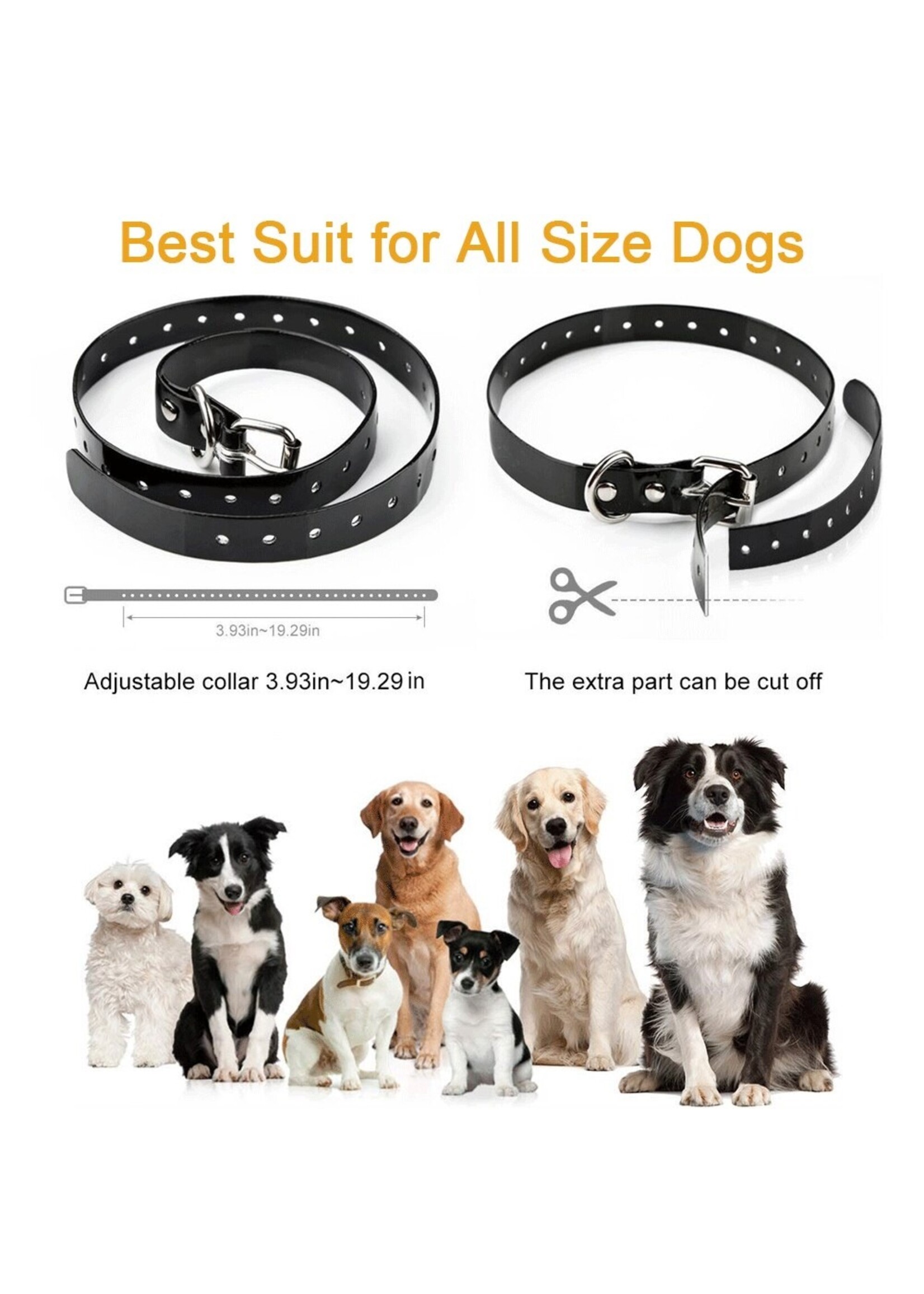 Hondentrainingshalsband voor 1 hond, Waterdicht Oplaadbaar Bereik 300m Shock Halsband met Tracking Light Piep Trillingen Schokmodi
