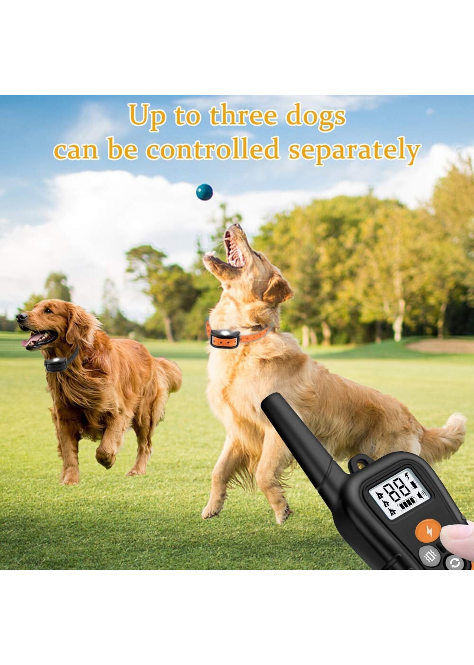 Hondentrainingshalsband voor 1 hond, Waterdicht Oplaadbaar Bereik 300m Shock Halsband met Tracking Light Piep Trillingen Schokmodi