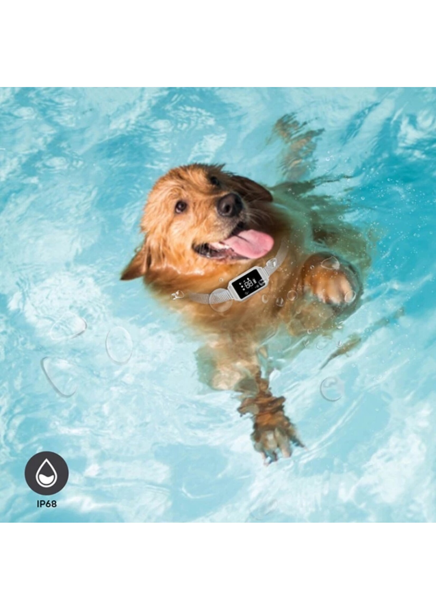 HE Products Honden Anti-blafhalsband USB Oplaadbare Anti-blaf Trainingshalsband IP68 Waterdicht en Stofdicht Magnetische Trainingshalsband B800C