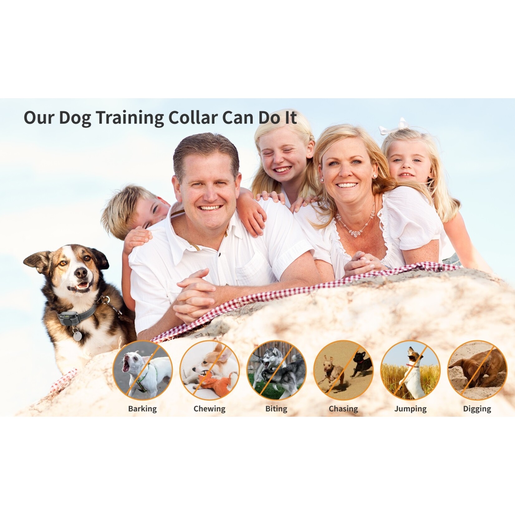 300m elektrische Hondentrainingshalsband Waterdicht Huisdier Afstandsbediening Oplaadbaar Anti-blaf met schok Trillingen Geluid LCD Dis