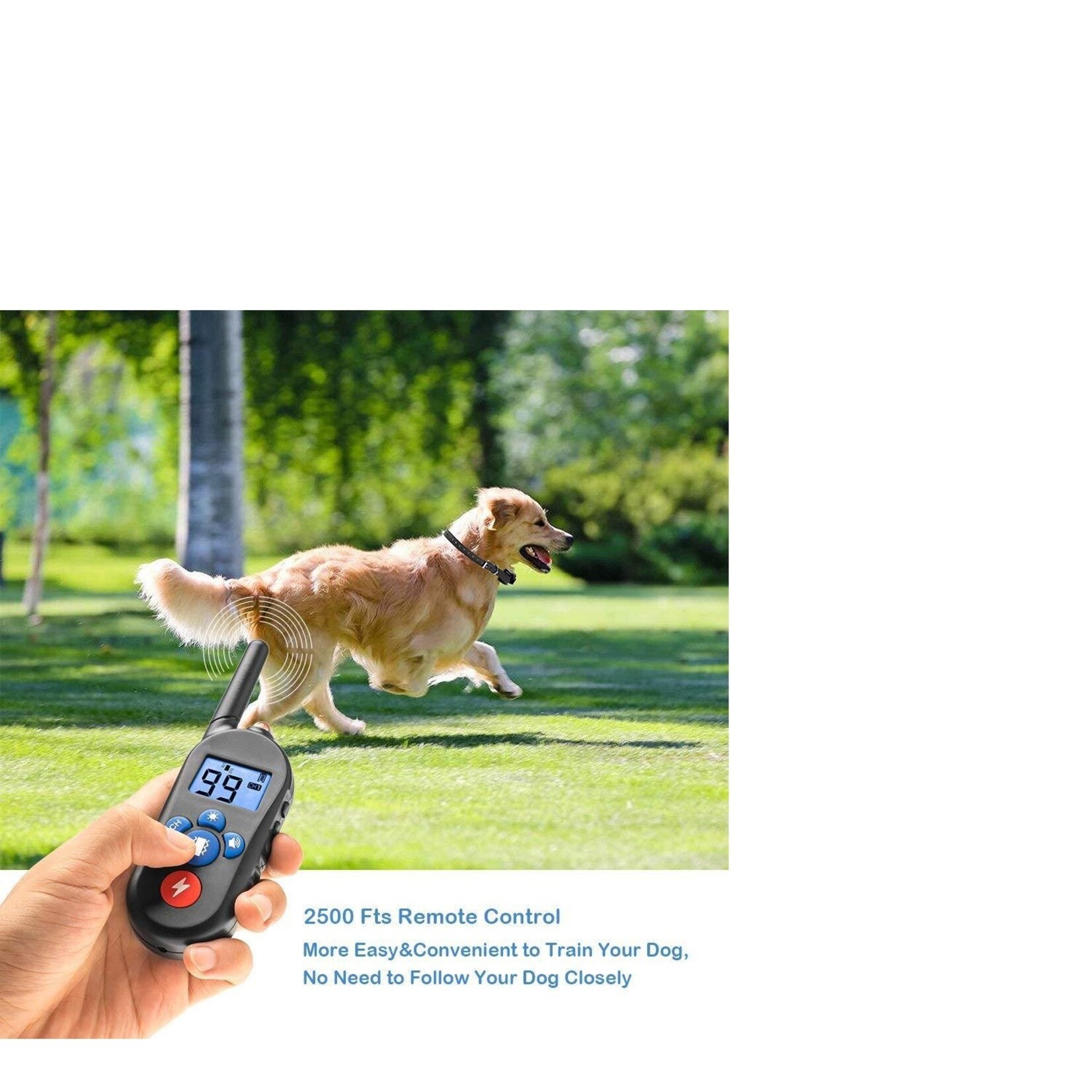 300m Afstandsbediening Trainingshalsband