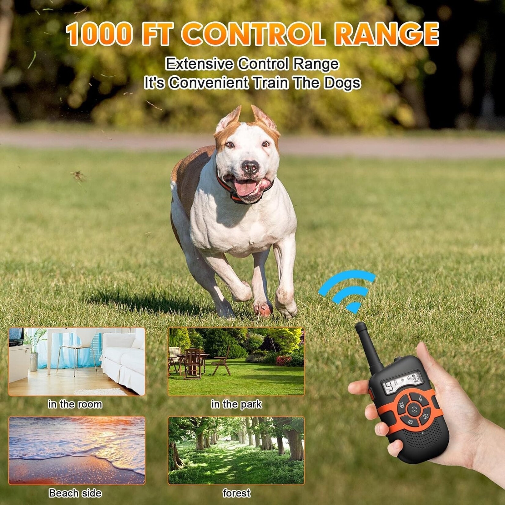 Honden Trainingshalsbanden met vergrendelknop om onbedoelde bediening te voorkomen. Elektronische schokhalsband Waterdichte oplaadbare batterij tot 250 meter afstandsbedieningsbereik