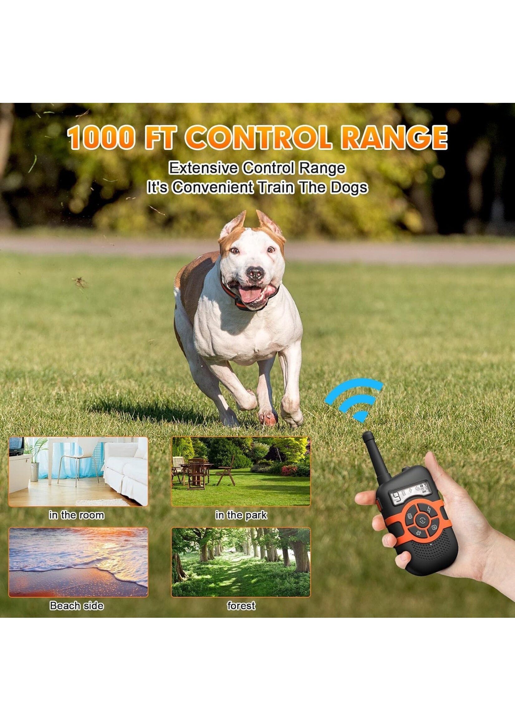Honden Trainingshalsbanden met vergrendelknop om onbedoelde bediening te voorkomen. Elektronische schokhalsband Waterdichte oplaadbare batterij tot 250 meter afstandsbedieningsbereik