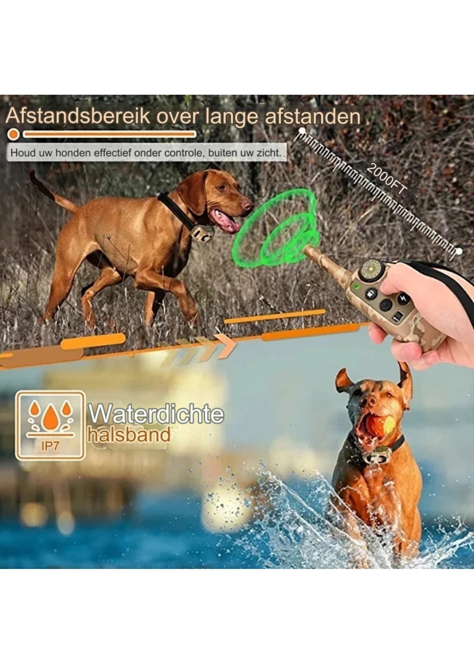 SODOG Trainingshalsband voor honden Afstandsbediening 300m Waterdichte oplaadbare blafstopper voor huisdieren Controle trainingshalsband voor 1 of 2 honden (zie dropdown Menu)
