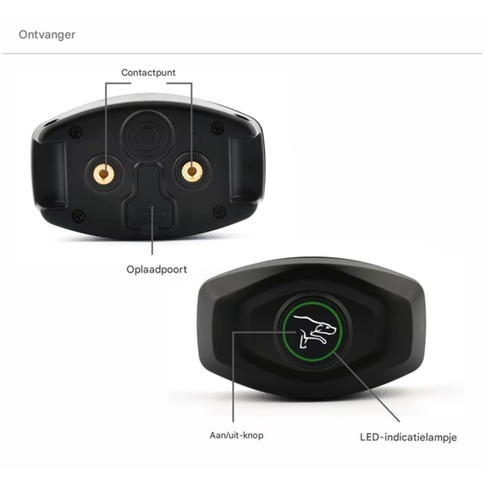 Dobe Honden halsband Anti-blafhalsband Geluid en schok Geen afstandsbediening Geen blafcontrole Oplaadbare hondentrainingshalsband Waterdicht