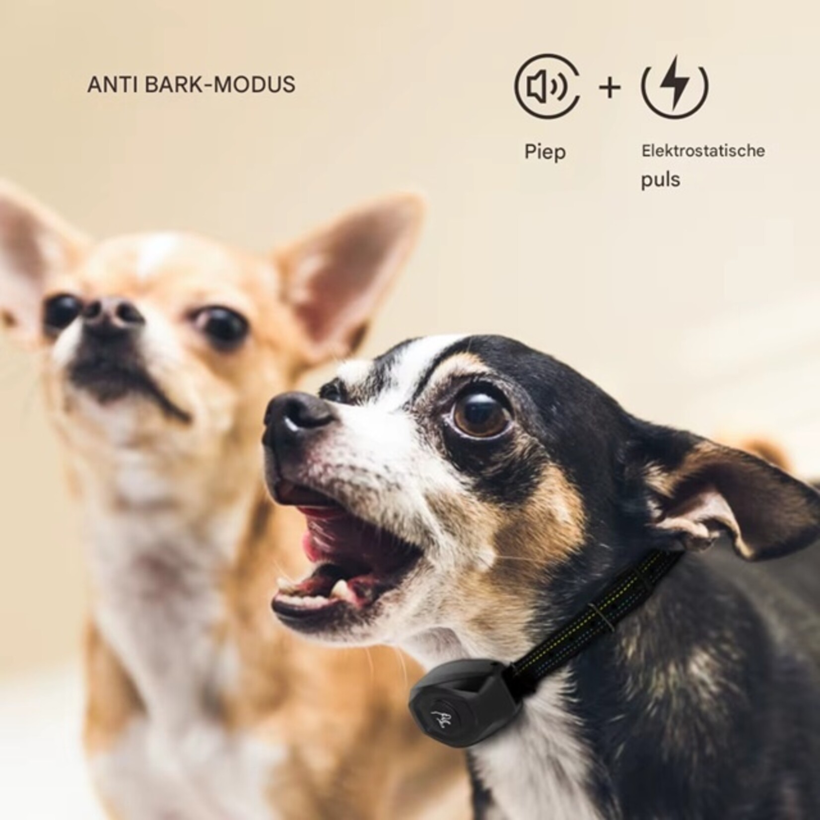 Dobe Honden halsband Anti-blafhalsband Geluid en schok Geen afstandsbediening Geen blafcontrole Oplaadbare hondentrainingshalsband Waterdicht