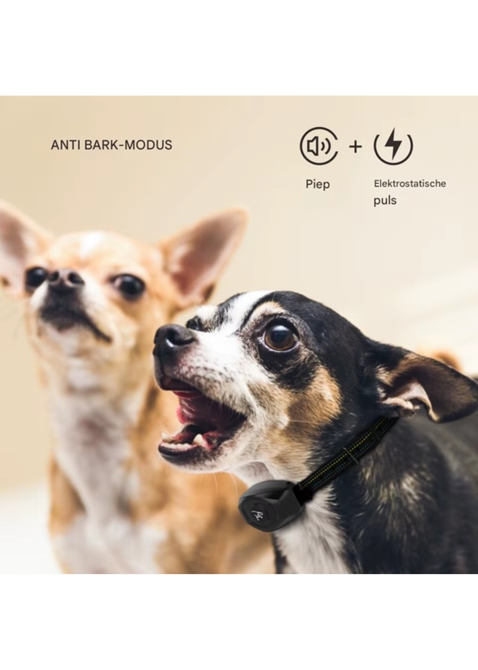 Dobe Honden halsband Anti-blafhalsband Geluid en schok Geen afstandsbediening Geen blafcontrole Oplaadbare hondentrainingshalsband Waterdicht