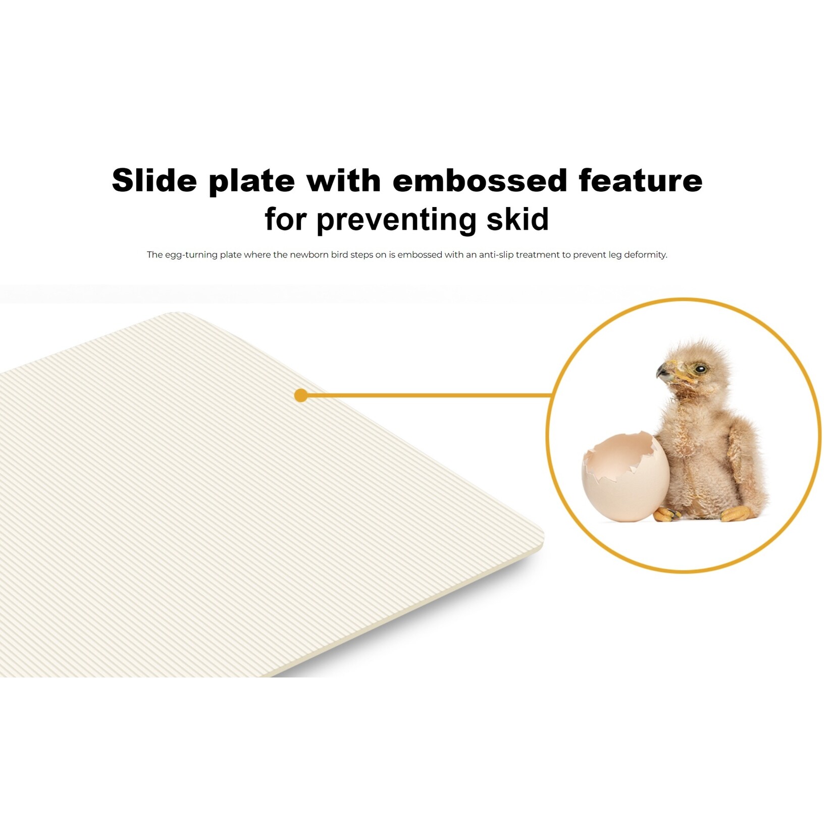 R-com Rcom MAX 50 DO – Slimme en Volautomatische Broedmachine