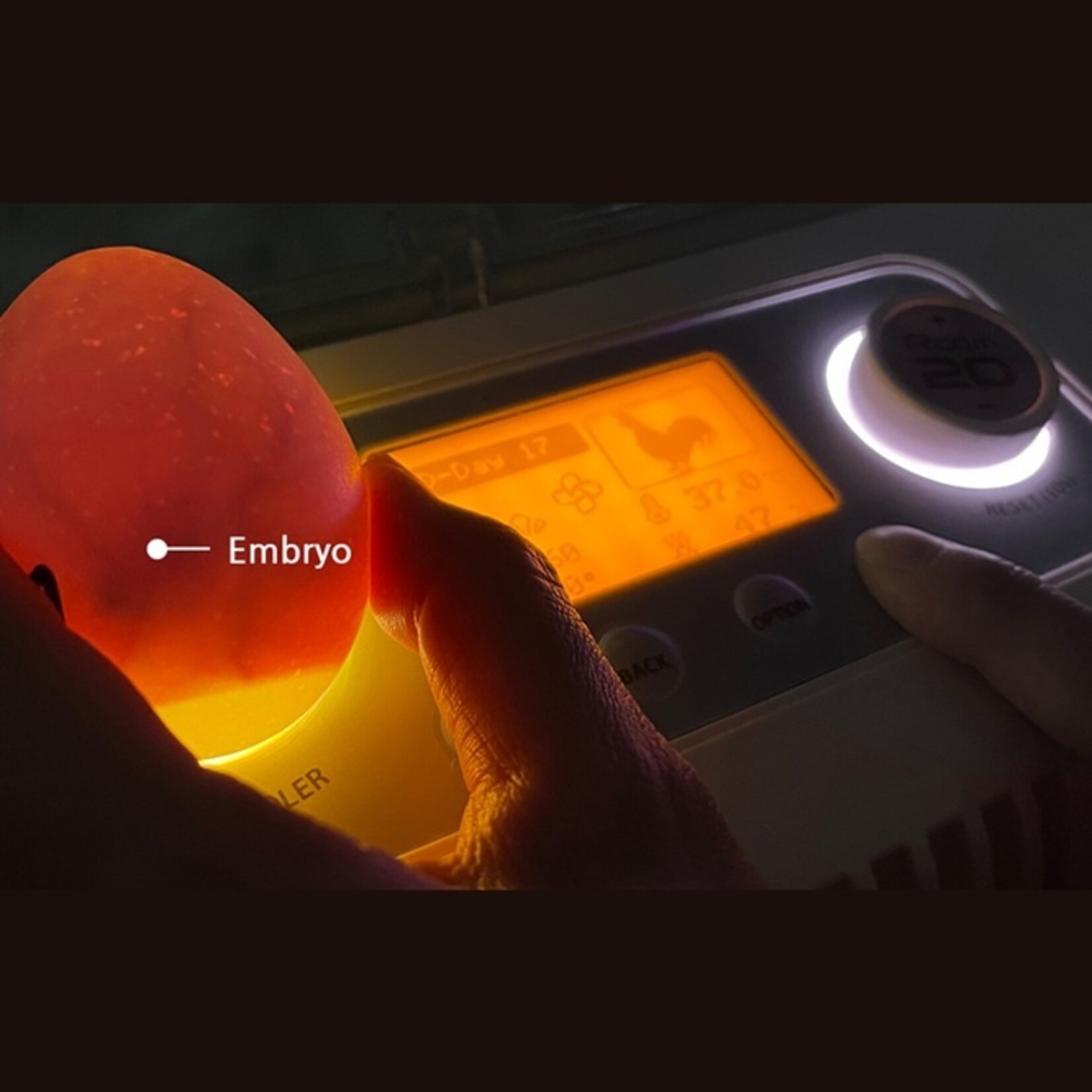 R-com Rcom Pro 50 DO Broedmachine – Professioneel, nauwkeurig en volledig automatisch