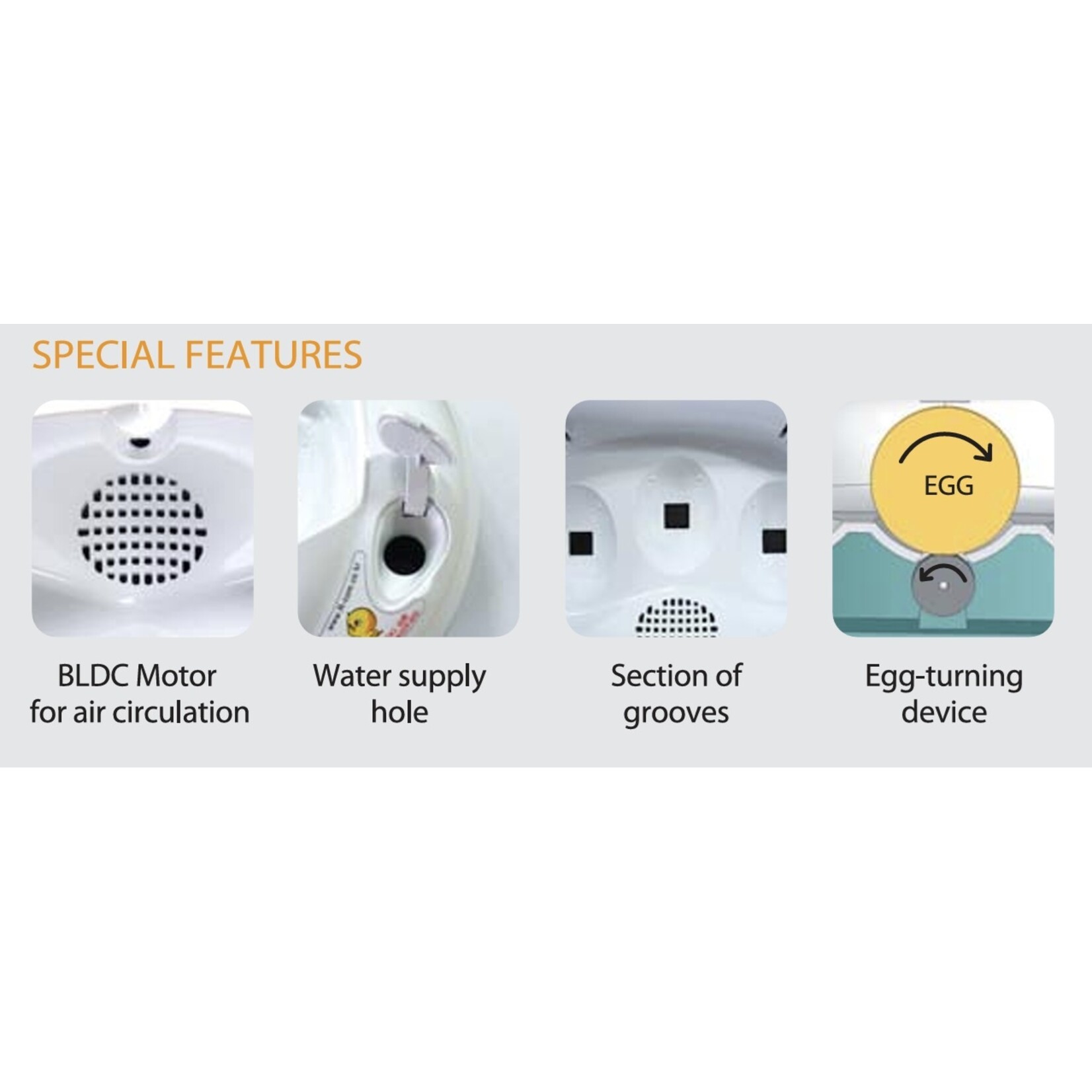 R-com Rcom Pro Mini Broedmachine – Compact, slim en ideaal voor kleine broedsels