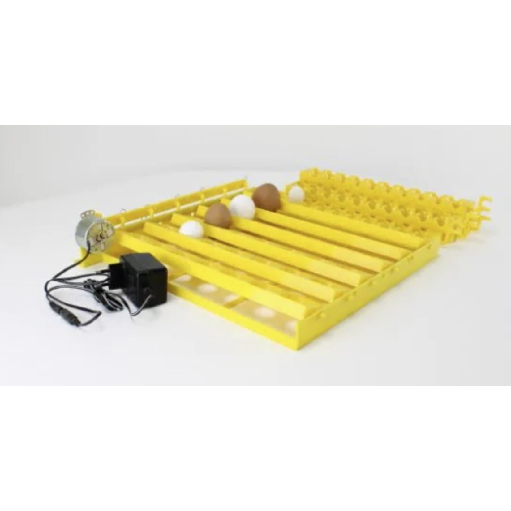 Automatic ECO Tray – Automatische ECO Tray voor kippen en kwartels