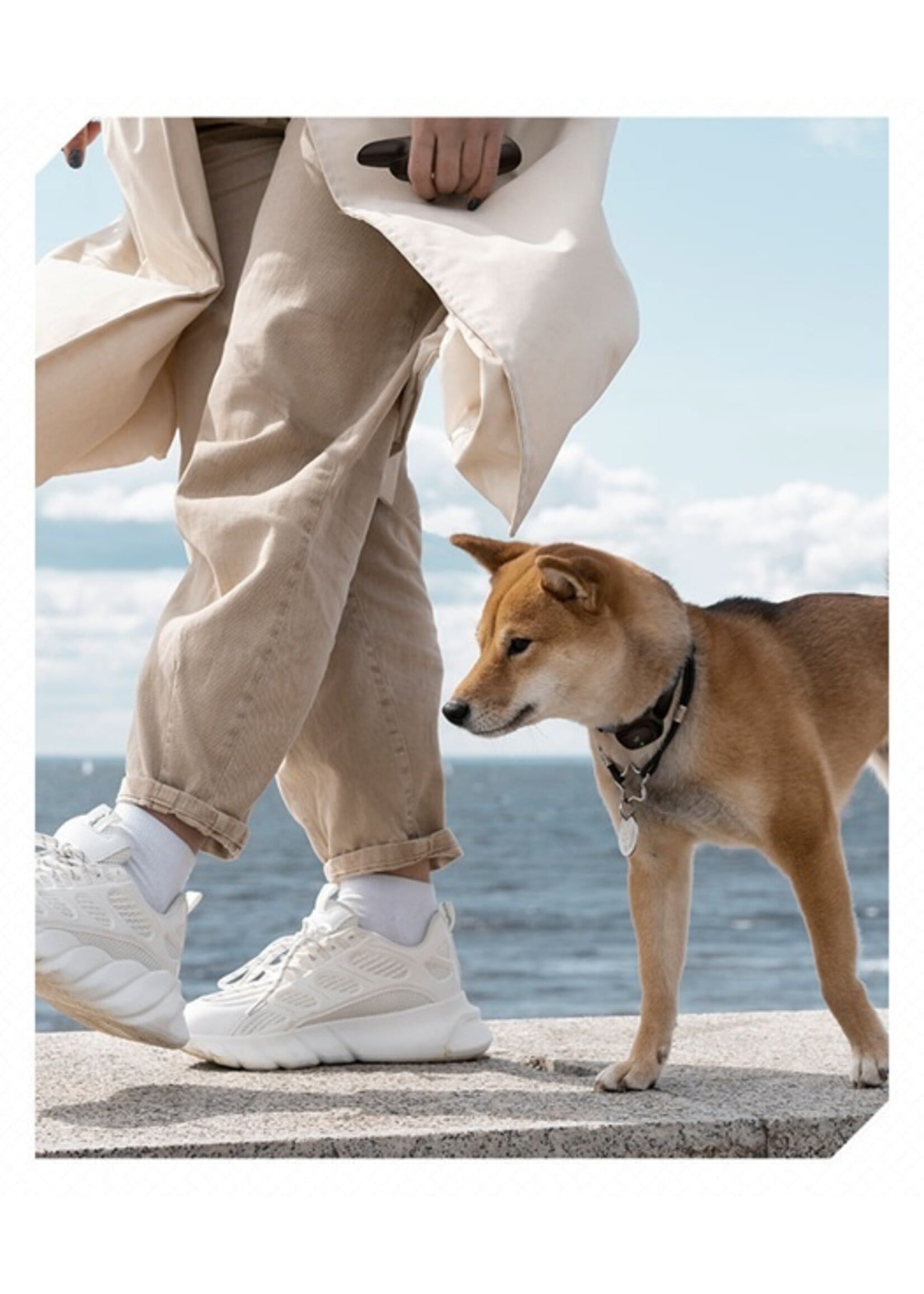Trainingshalsband met Afstandsbediening – 400 Meter – Waterbestendig – 99 Niveaus – Voor 1 hond