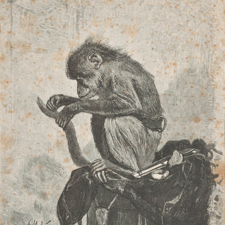 August Allebé (1838-1927) August Allebé (1838-1927) - Trained monkey
