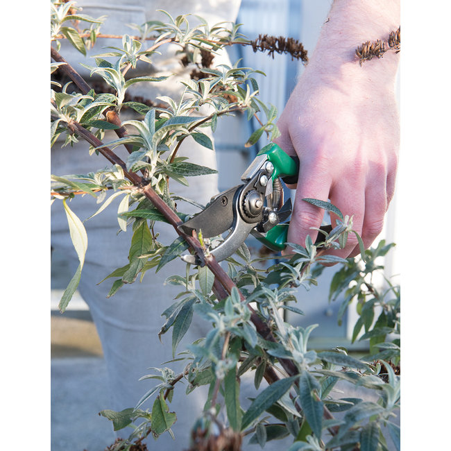 Silverline Snoeischaar 200 mm