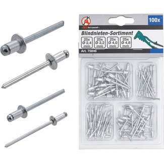 BGS Do it yourself Popnagel assortiment - Ø 2,4 t/m 4,8 mm - 100 delig