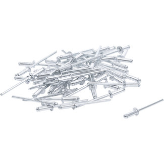 BGS Do it yourself Popnagel assortiment Ø 3,2 mm, 50 delig