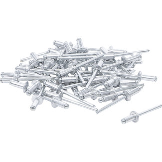 BGS Do it yourself Popnagel assortiment Ø 4,0 mm, 50 delig