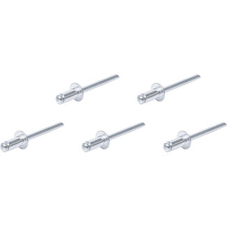 BGS Do it yourself Popnagel assortiment Ø 4,8 mm, 50 delig