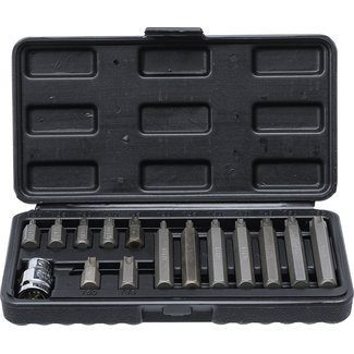 BGS Do it yourself Bitset 10 mm (3/8") T-profiel (voor Torx) 15 delig
