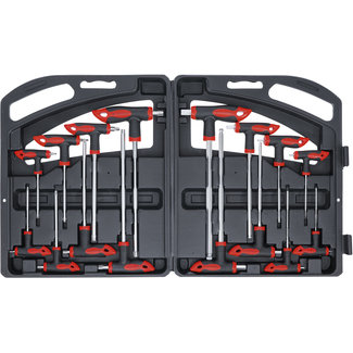 BGS Do it yourself Torx- Inbusset met T-greep 16 delig