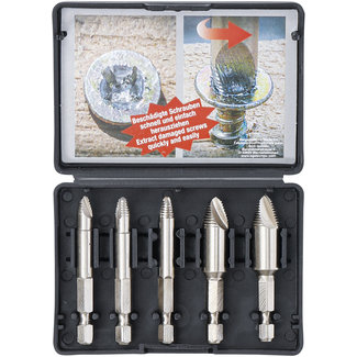 BGS Do it yourself Schroeven uitdraaiset - maat 0 t/m 3 -  5 delig