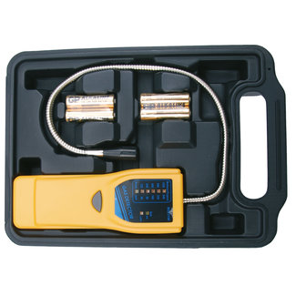 BGS technic Gasdetector