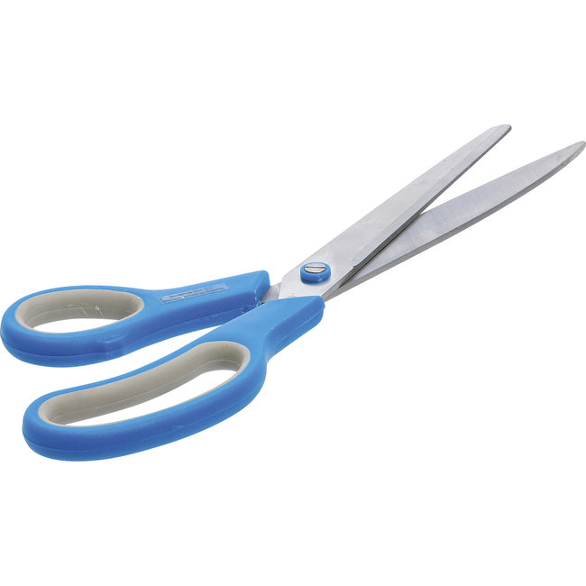 BGS Behangschaar 300 mm