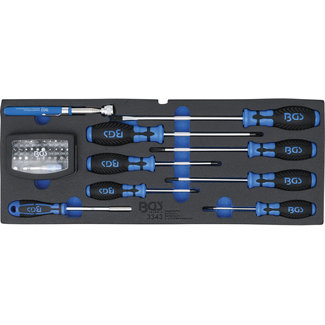 BGS technic Koffer inlegmodule BGS 3312, schroevendraaier, bitset magneetpen 41 delig