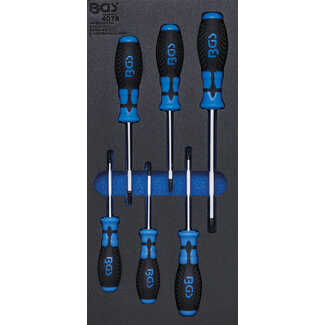 BGS technic Schroevendraaierset Torx 6 delig