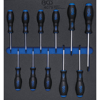 BGS technic Schroevendraaierset Torx T6 - T40 11 delig