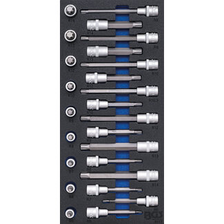 BGS technic Dopsleutelbitset inbus wigprofiel (voor RIBE) 25 delig