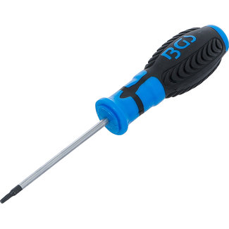BGS technic Schroevendraaier T10 x 80 mm