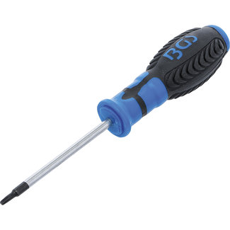 BGS technic Schroevendraaier Torx T15 x 80 mm