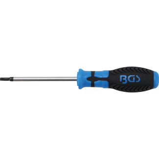 BGS technic Schroevendraaier Torx T25 x 100 mm