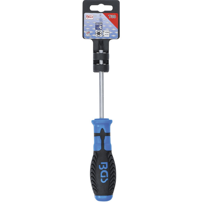 BGS Schroevendraaier Torx T30 x 100 mm