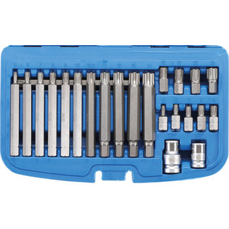 BGS technic Bitset 3/8" wigprofiel (voor RIBE) 22 delig