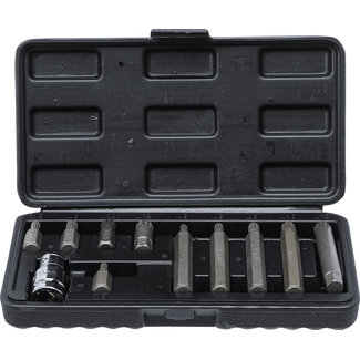 BGS Do it yourself Bitset 3/8" veeltand (voor XZN) 11 delig