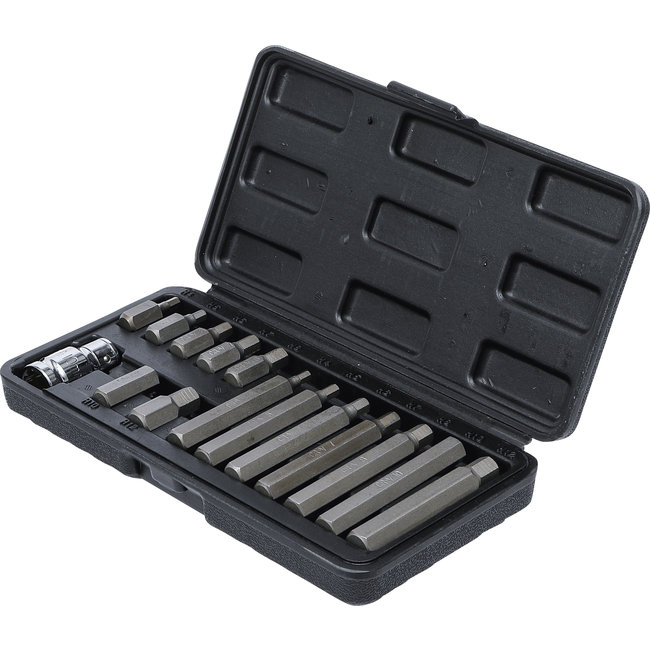 BGS Bitset 10 mm (3/8") zeskant 15 delig