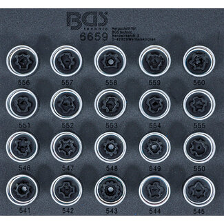 BGS technic Velgenslot demontageset voor VAG 20 delig