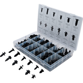 BGS technic Dennenboom- en kunststofspreidclip-assortiment universeel 192 delig