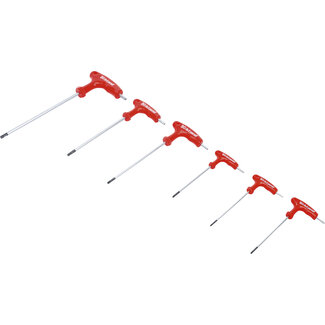 BGS Do it yourself Schroevendraaierset met T-greep Torx met boring T10 - T40 6 delig