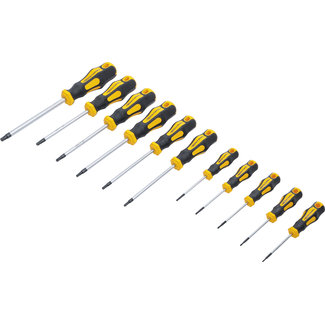 BGS Do it yourself Schroevendraaierset voor Torx met boring T6 - T40 11 delig