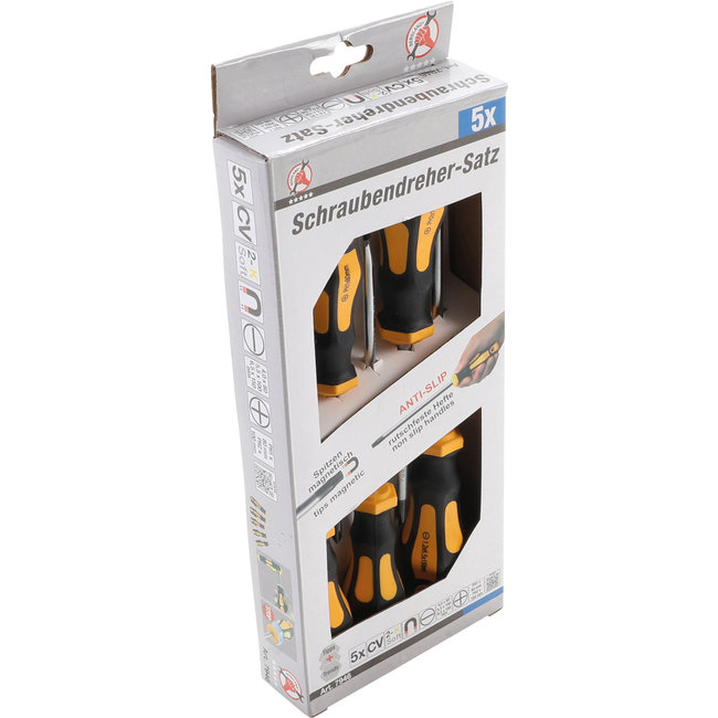 BGS Schroevendraaierset 5 delig