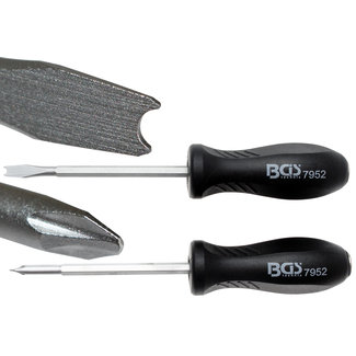 BGS technic Speciale schroevendraaierset 2 delig