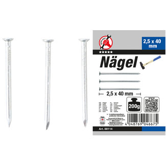 BGS Do it yourself Nagel-assortiment 200 gram 2,5 x 40 mm